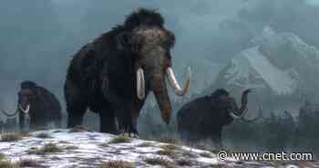 Woolly mammoths' extinction blamed on climate change, not human hunting     - CNET