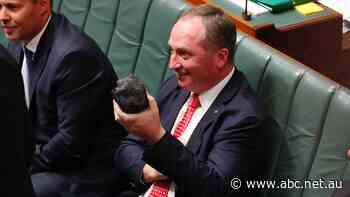 We fact checked Barnaby Joyce on the relative size of fossil fuel exports. Here's what we found