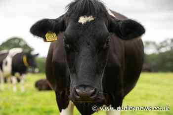 Farmers must be protected after New Zealand trade deal – Scottish Government - Dudley News
