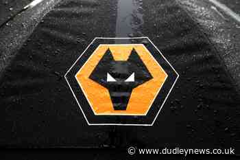 Wolves hold CPR training session at players' request - Dudley News