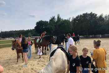 Kalverbedrijf en paardenstalling staan in de kijker - Gazet van Antwerpen