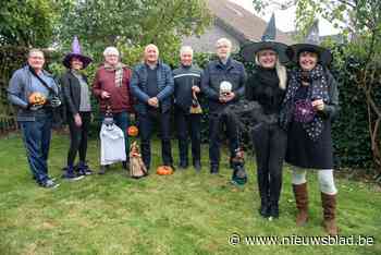 Wijkcomité komt versterkt uit corona: “Met zelfs een nieuwe activiteit” - Het Nieuwsblad