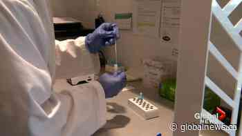 Saskatchewan COVID-19 testing numbers drop with ICUs overcrowded
