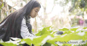 A New Initiative Aims to Fuel Better Visibility of Indigenous Communities in Stock Photos