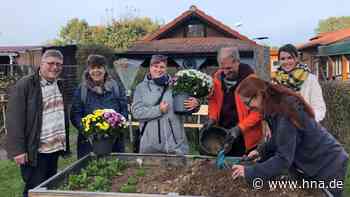 Ein Garten gegen Einsamkeit: Neues Projekt von „mittendrin“ in Bad Hersfeld - HNA.de