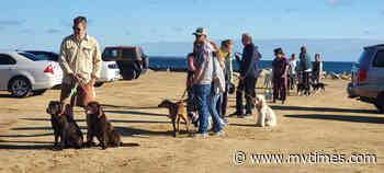 Walk for Fergus held in OB - Martha's Vineyard Times
