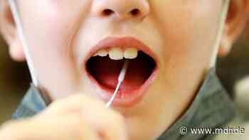 Chemnitz geht Sonderweg bei Lolli-Tests - MDR