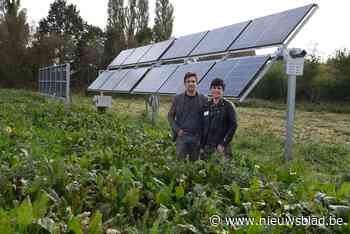 Herman en Kristel zijn tegen windmolens maar zetten hun bietenveld nu vol … zonnepanelen <BR />