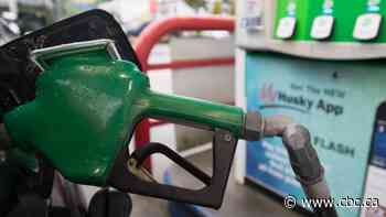 Financial experts worried about how Albertans' paycheques will hold up to soaring inflation