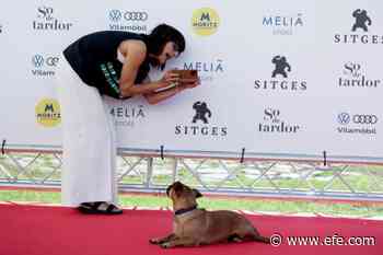 Ana Lily Amirpour: El género fantástico permite a las mujeres ser libres - EFE - Noticias