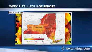 Fall Foliage Report: What's at peak this week?