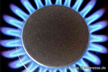 Stadtwerke Reichenbach: Gaspreis steigt, Strompreis sinkt - Freie Presse