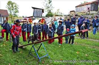 Rettungshundestaffel in Hochdorf - Zu Gast bei vierbeinigen Lebensrettern - esslinger-zeitung.de
