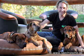 Görlitz: Reichenbach erhöht die Hundesteuer - Sächsische.de