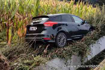Auto komt in maïsveld terecht: bestuurder blijft ongedeerd - Het Nieuwsblad