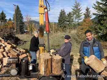 Nelson Lions Club firewood sale to benefit park - Nelson Star