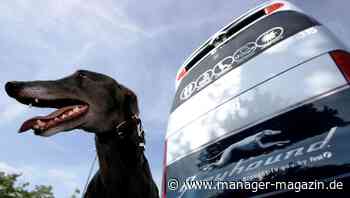 Flixbus übernimmt Greyhound