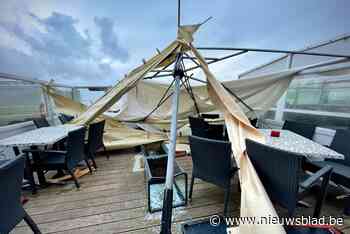 Meer dan tweehonderd oproepen voor stormschade: “We zijn nu druk in de weer”