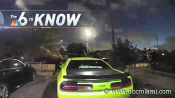 6 to Know: Pricey Puppies Stolen in Wild Shootout Caught on Camera