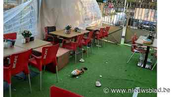 Veel omgewaaide bomen, maar grote schade door storm blijft uit