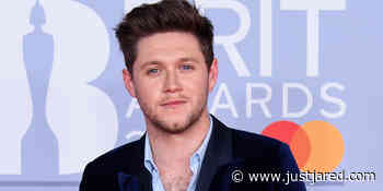 Niall Horan Is Celebrating The Anniversary of His 'Flicker' Album