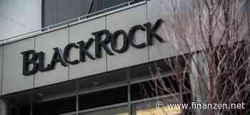 BlackRock steigt offenbar bei Ladesäulen-Allianz Ionity ein