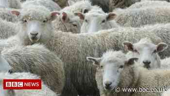 UK agrees free trade deal with New Zealand