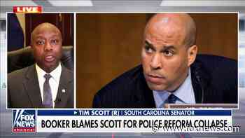 Tim Scott on Dems pushing for nationalization of police: 'That is not the American way' - Fox News