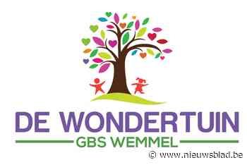 Basisschool De Wondertuin in Wemmel schorst lessen na coronabesmettingen - Het Nieuwsblad