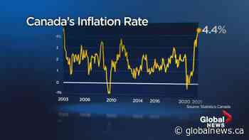 Edmonton area businesses respond to record inflation rate