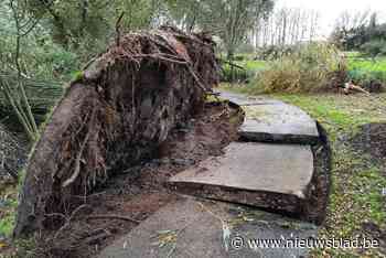 Fietspad aan Gewad loopt zware schade op
