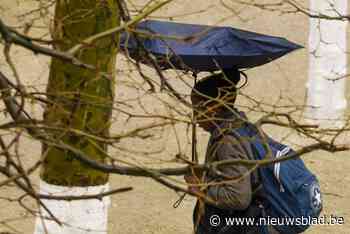 Storm Aurore bezorgt brandweer veel werk: meer dan 100 oproepen in enkele uren tijd