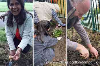 Redbridge residents spend a weekend planting after council donations