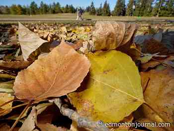 Edmonton weather: Oh great looks like rain is coming, at least it's not snow