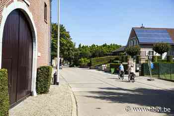 Waarom er een Iers kruis staat in de velden van Riemst - Het Belang van Limburg