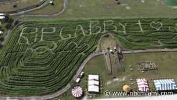 Florida Farm Pays Tribute to Gabby Petito With Corn Maze