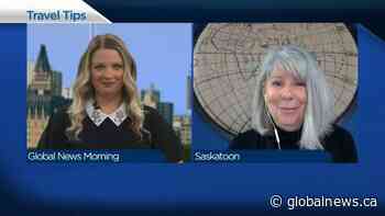 Land border reopening welcome news for travel industry