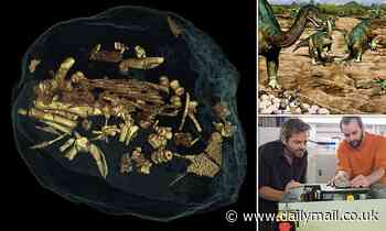 Early dinosaurs were SOCIABLE and moved in herds 193 million years ago