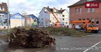 Sturmböen entwurzeln Bäume in Ulm und Laichingen - Schwäbische