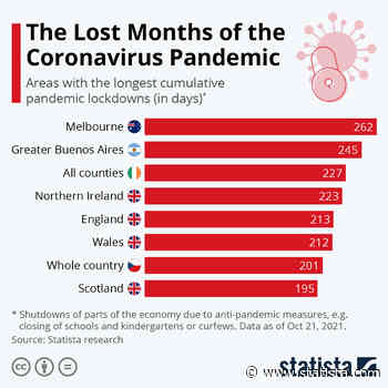 The Lost Months of the Coronavirus Pandemic - Statista