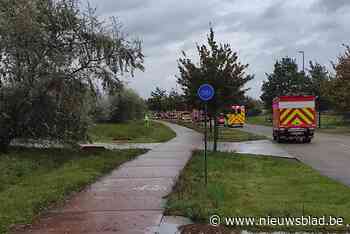 Vrachtwagen verliest 800 liter zwavelzuur uit lekkende container in Lommel