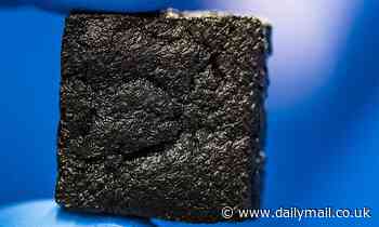 Cow manure makes DRINKABLE water after scientists turn the animal feces into a filter