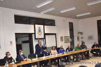 Boom di visitatori a Colliano: oltre 25mila presenze ala mostra del tartufo - Anteprima24.it - anteprima24.it