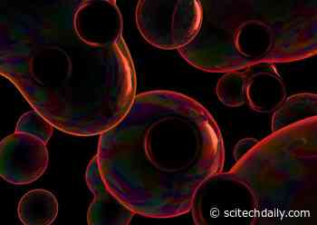 Uncovering the Secrets of Ultra-Low Frequency Gravitational Waves and the Early Development of Our Universe