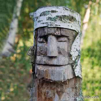 Move Over Columbus: Europeans Were Already Active in the Americas 1,000 Years Ago