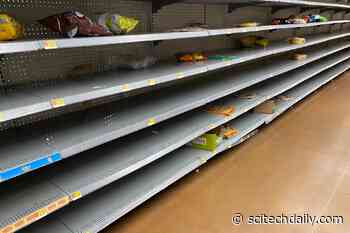 4 Reasons Americans Are Still Seeing Empty Shelves and Long Waits – With No End in Sight