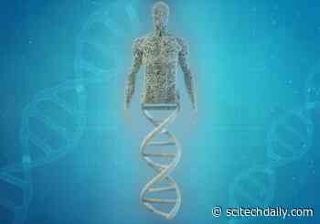 What Makes Us Human? The Answer May Be Found in Overlooked “Junk” DNA