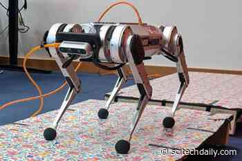 One Giant Leap for MIT’s Robotic Mini Cheetah