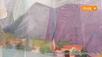 Die flimmernde, schillernde Kunst der Linie: Neue Ausstellung in Oberfahlheim