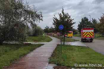 Vrachtwagen verliest 800 liter zwavelzuur uit lekkende conta... (Lommel) - Het Belang van Limburg Mobile - Het Belang van Limburg